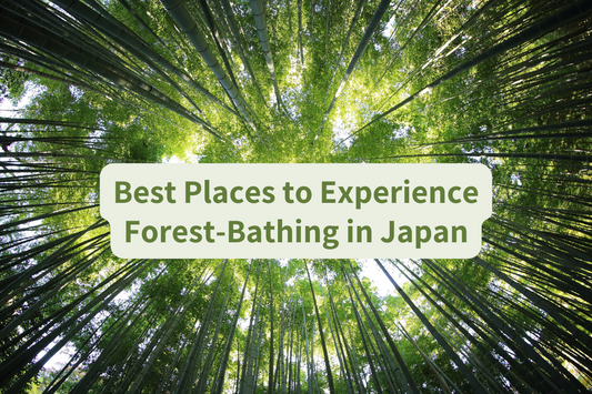 The Art of Shinrin-yoku: Best Places to Experience Forest Bathing in Japan