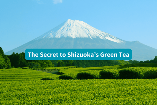 Uncovering the secret to Shizuoka's green tea